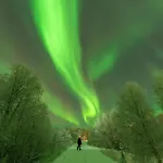 Θέρετρο Arctic River 4*