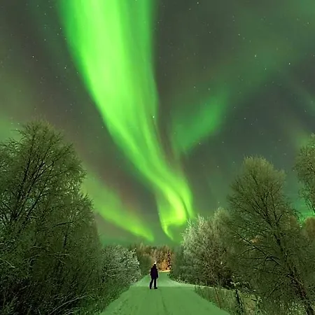 Arctic River