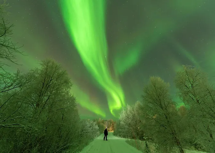 度假村 Arctic River 4*